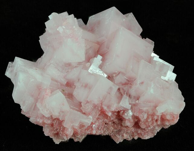 Pink Halite Crystal Plate - Trona, California #61068